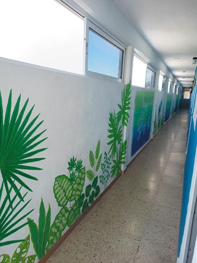 Blue Coconut Cancun Hotel ภายนอก รูปภาพ
