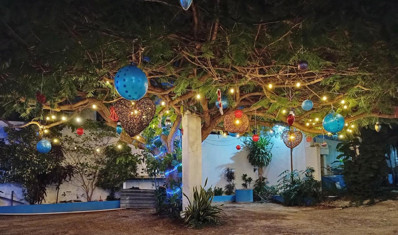 Blue Coconut Cancun Hotel ภายนอก รูปภาพ