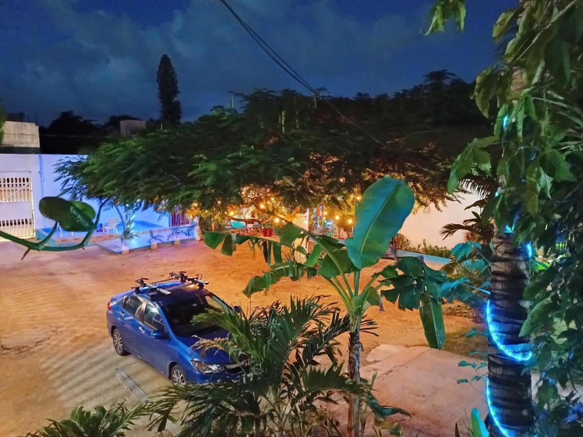 Blue Coconut Cancun Hotel ภายนอก รูปภาพ