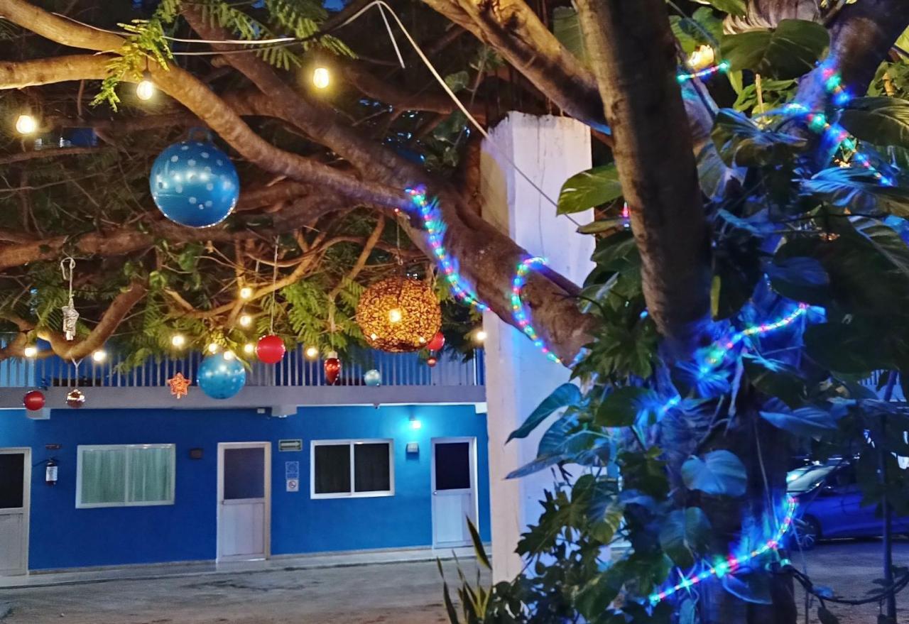 Blue Coconut Cancun Hotel ภายนอก รูปภาพ