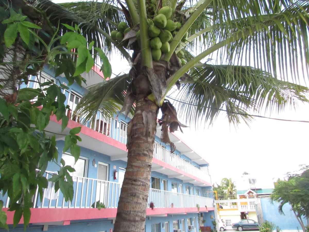 Blue Coconut Cancun Hotel ภายนอก รูปภาพ