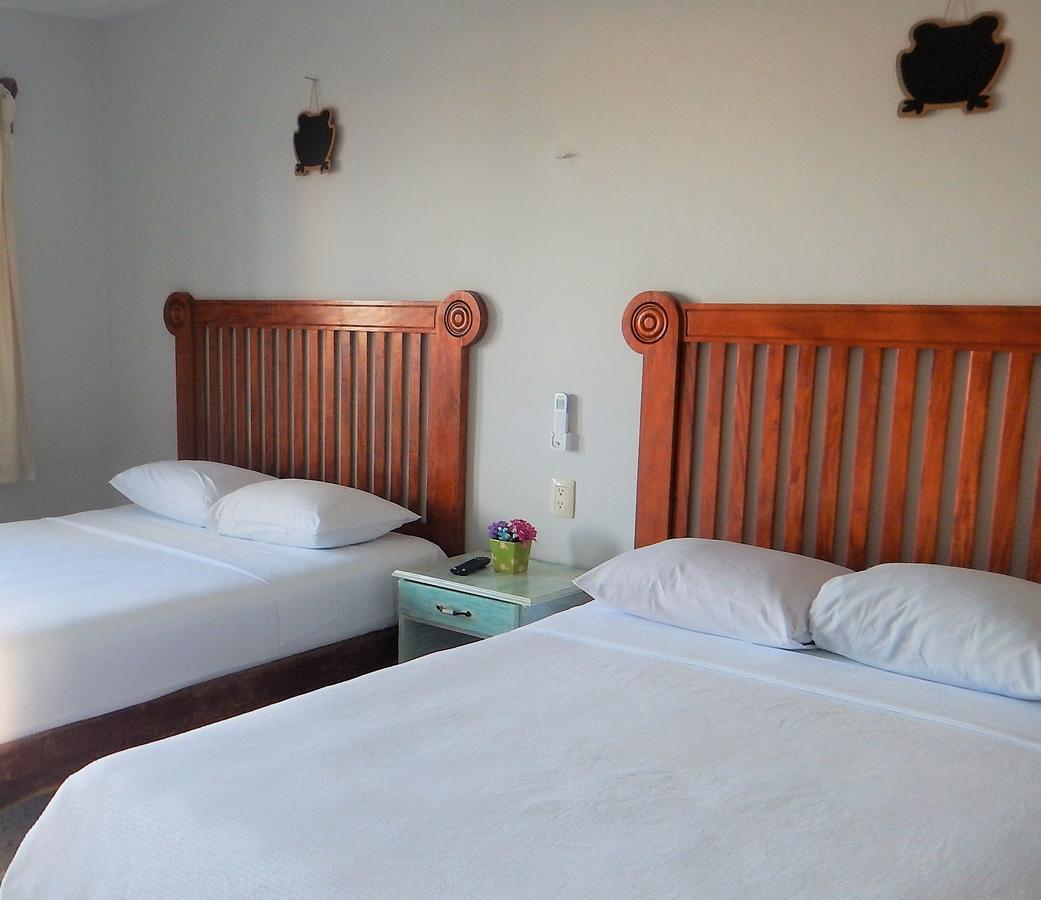 Blue Coconut Cancun Hotel ภายนอก รูปภาพ