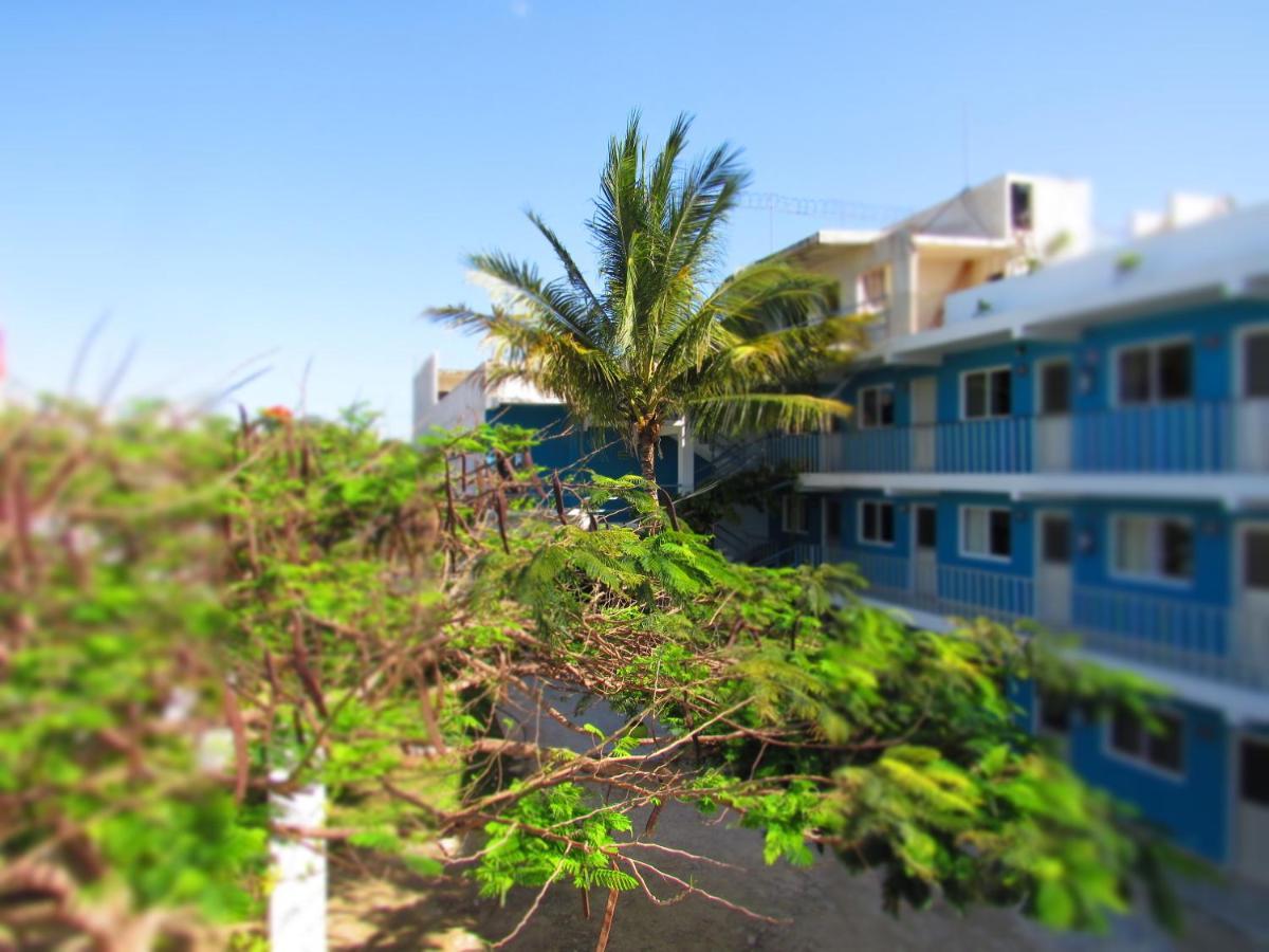 Blue Coconut Cancun Hotel ภายนอก รูปภาพ