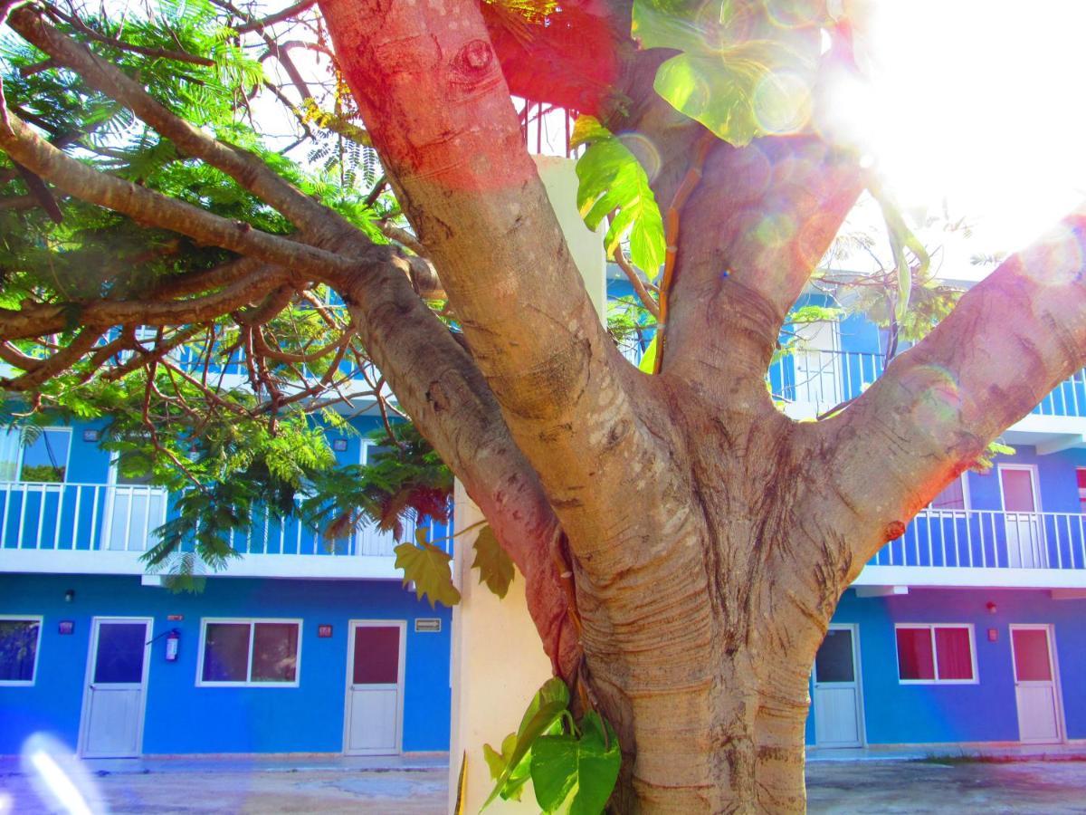 Blue Coconut Cancun Hotel ภายนอก รูปภาพ